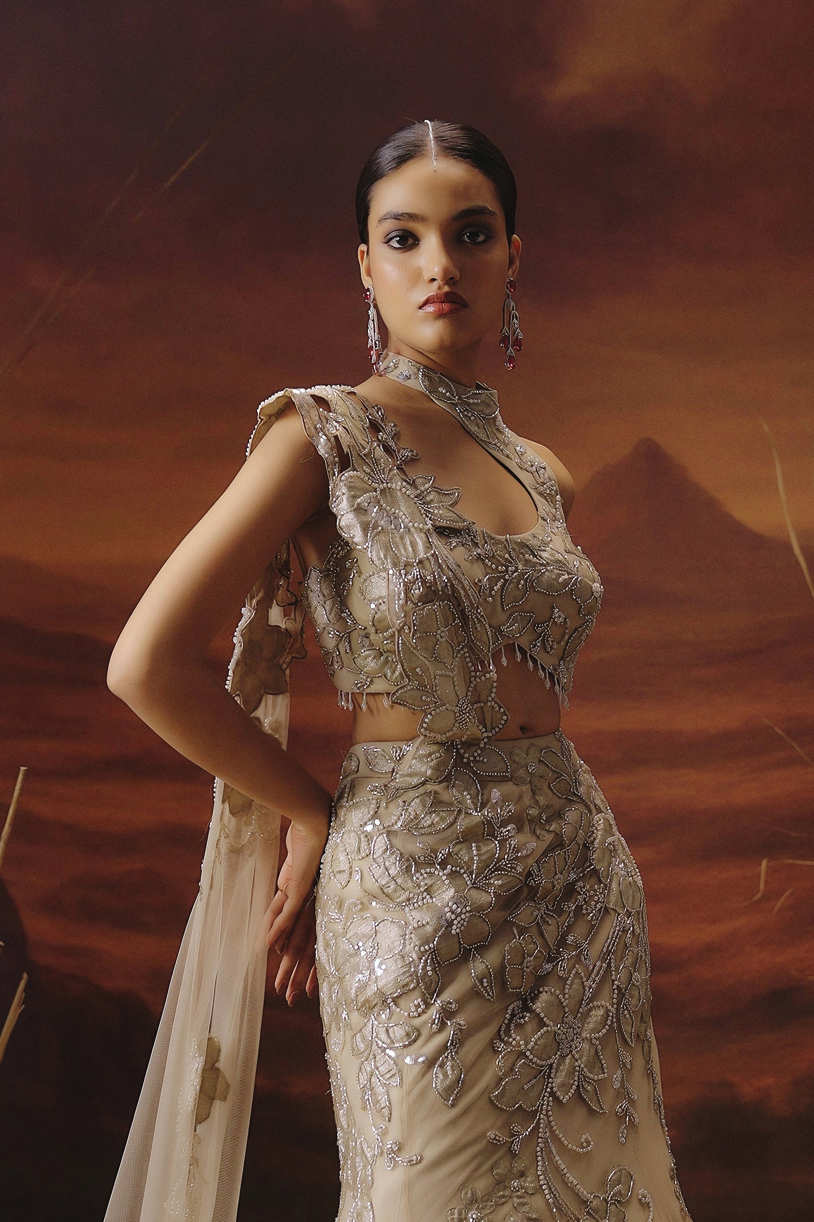 Champagne Beige Embellished Premium Mono Net Lehenga Set - Image 4