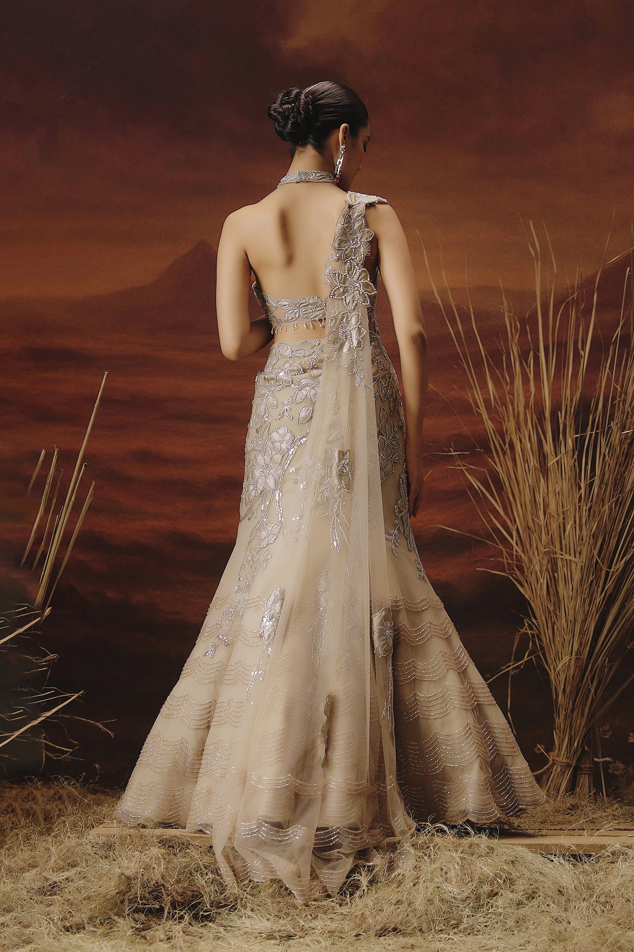 Champagne Beige Embellished Premium Mono Net Lehenga Set - Image 6