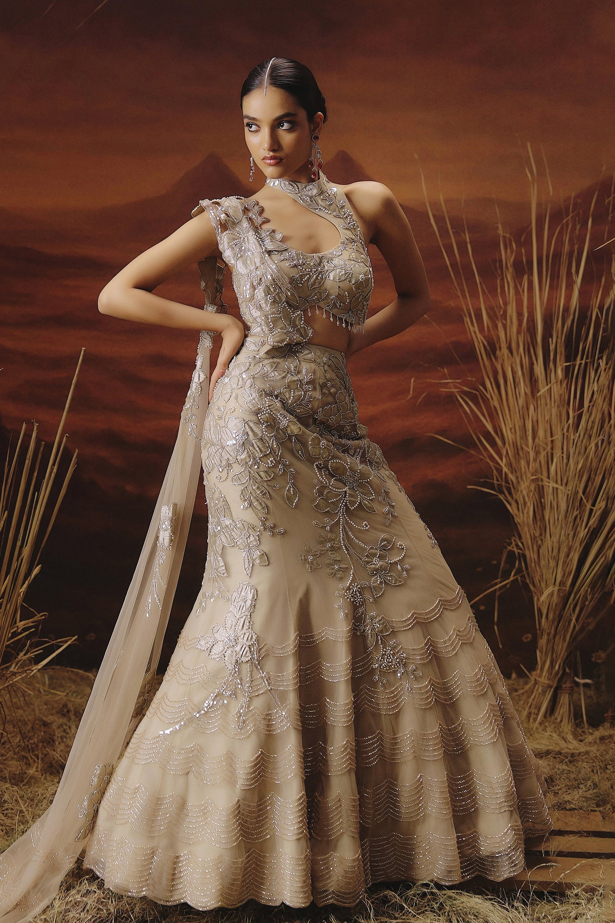Champagne Beige Embellished Premium Mono Net Lehenga Set - Image 7