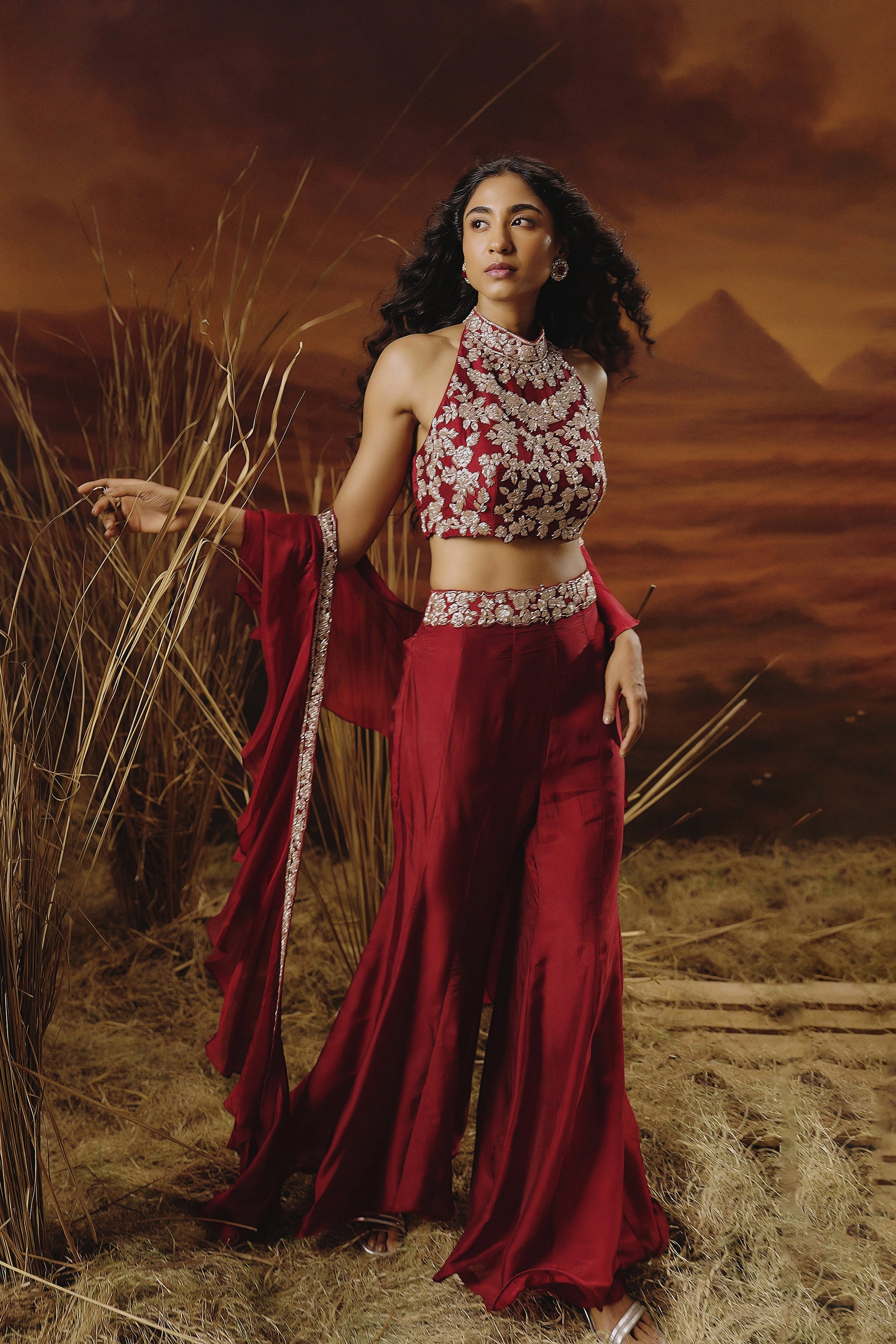 Deep Red Embellished Soft Organza Silk Palazzo Set - Image 4
