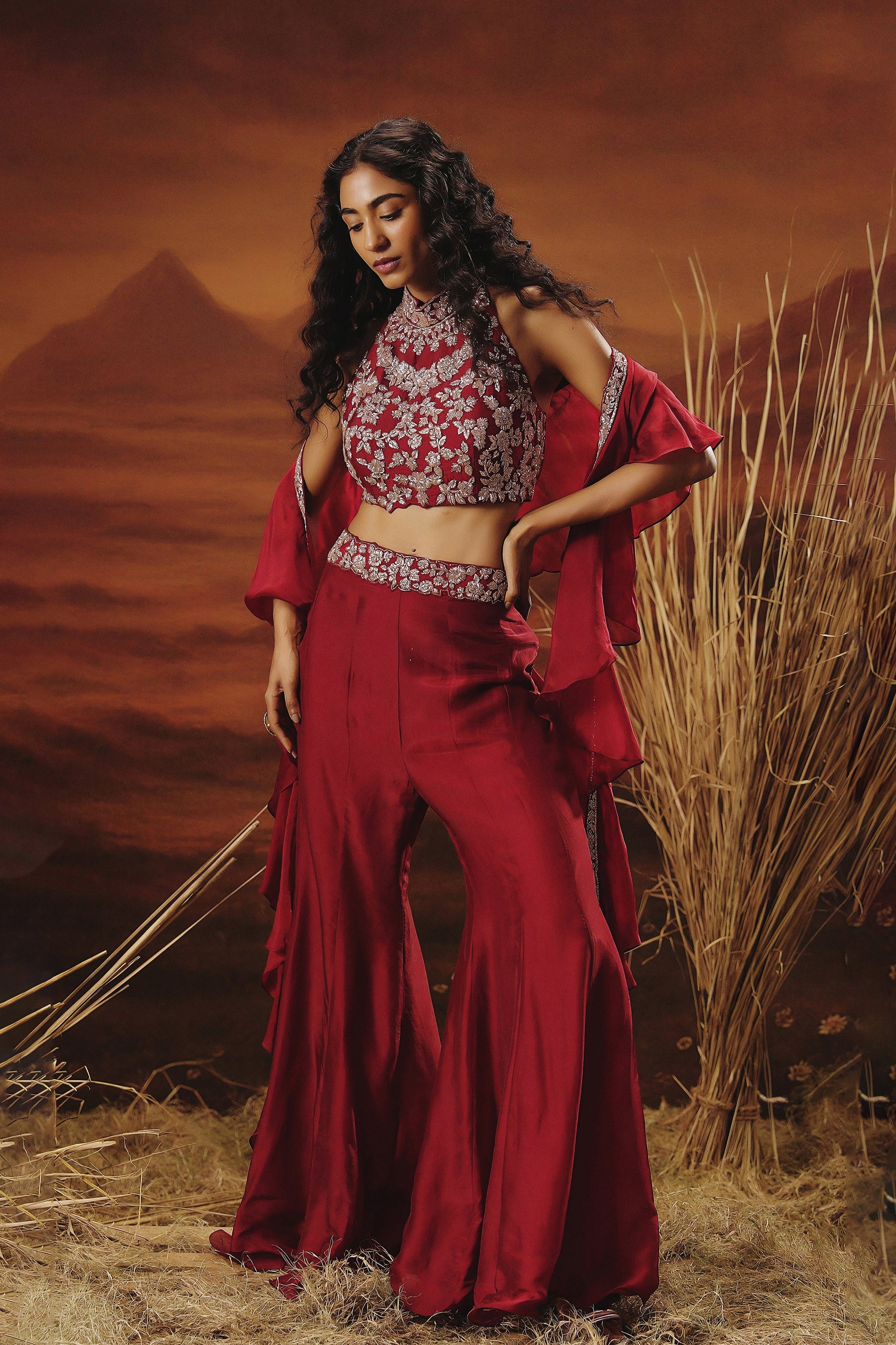 Deep Red Embellished Soft Organza Silk Palazzo Set - Image 5