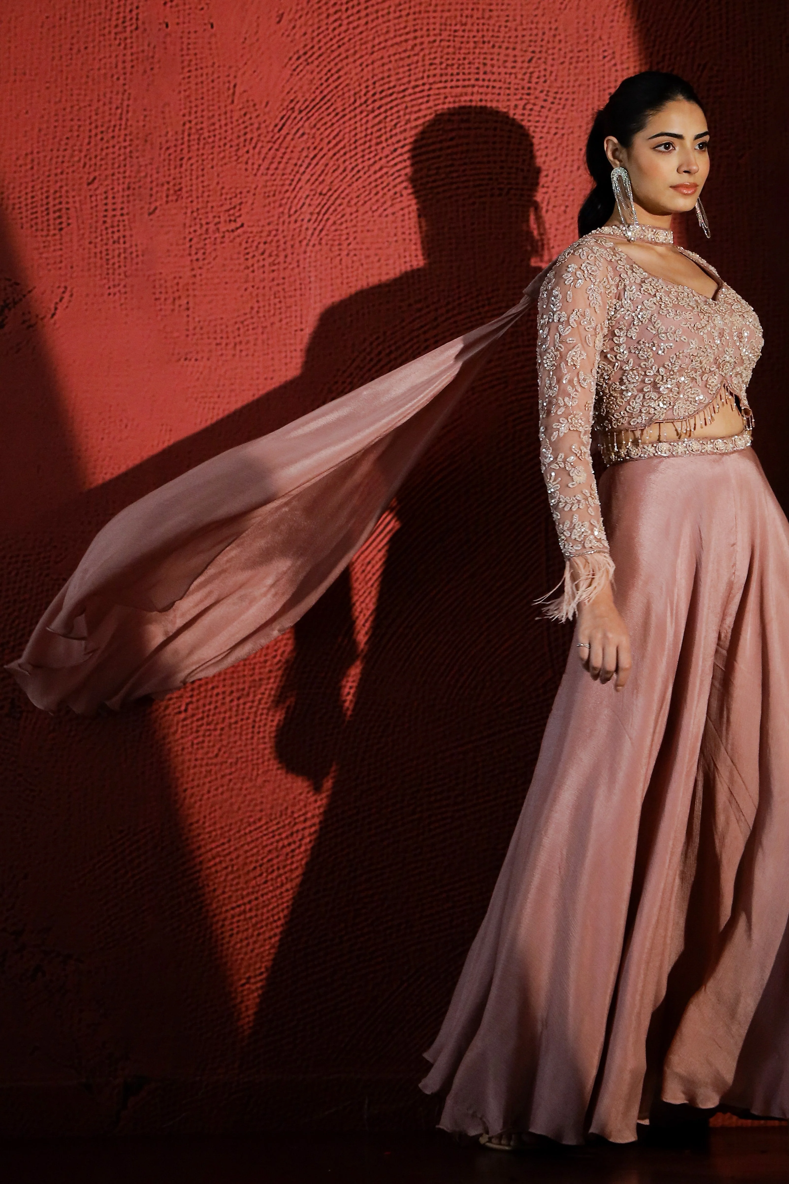 Dusky Peach Embellished Premium Net Palazzo Set - Image 4
