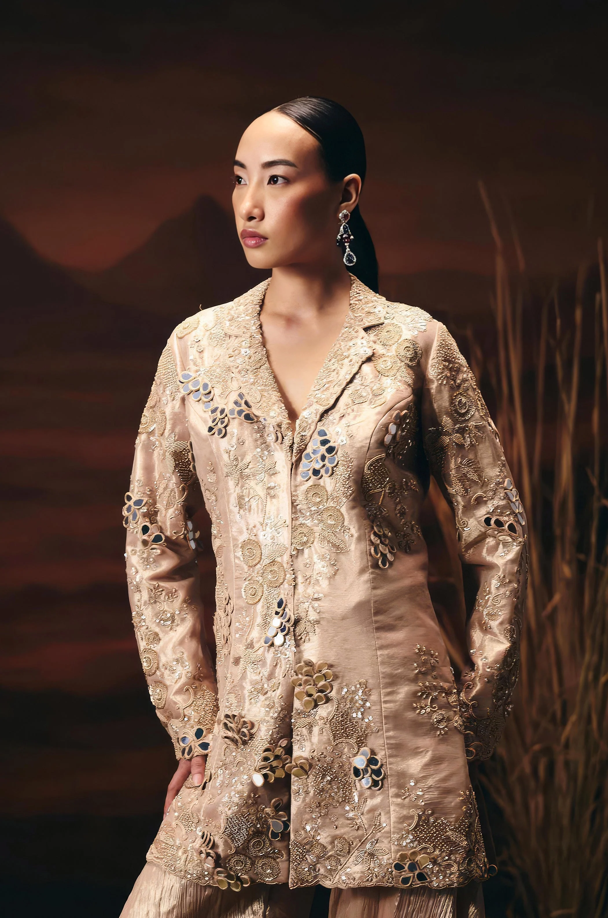 Dusty Beige Embellished Shimmer Tissue Silk Sharara Set - Image 3