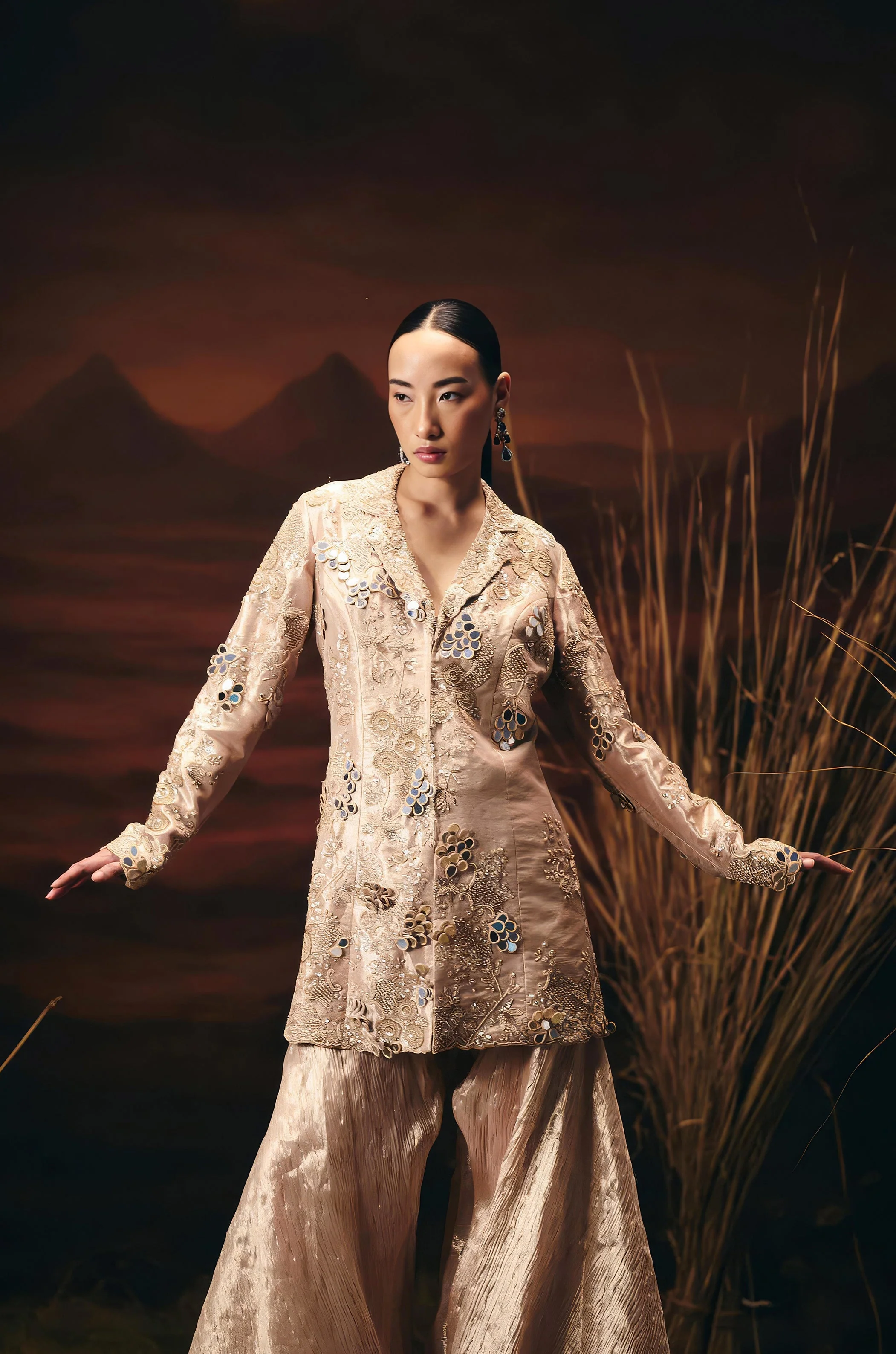 Dusty Beige Embellished Shimmer Tissue Silk Sharara Set - Image 4