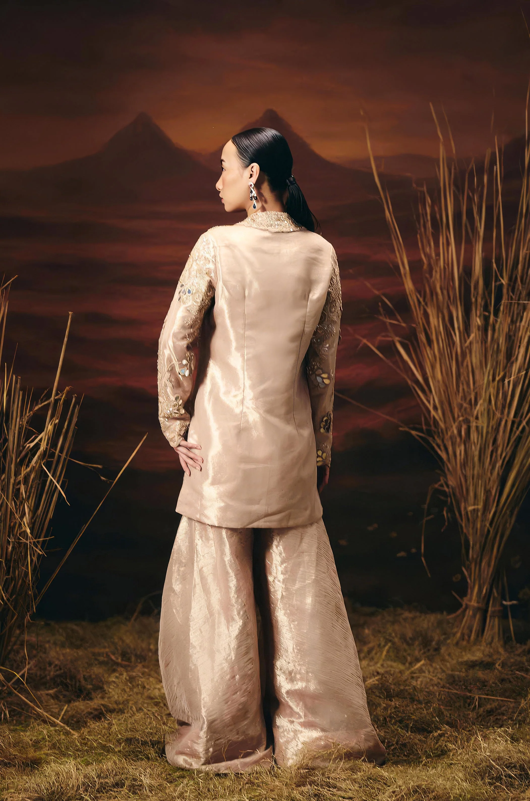 Dusty Beige Embellished Shimmer Tissue Silk Sharara Set - Image 5