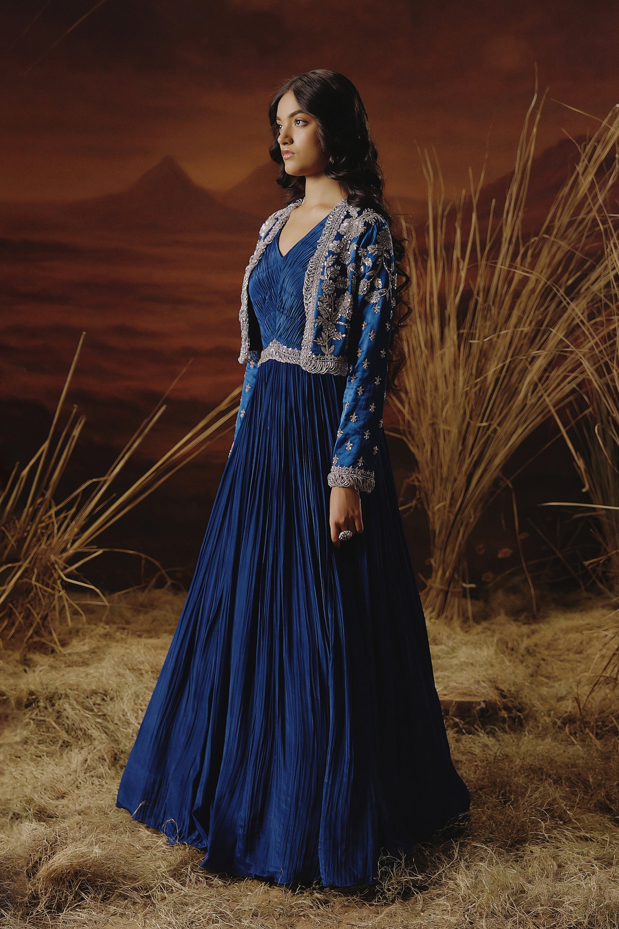 Royal Blue Embellished Premium Jacket Gown Set - Image 5