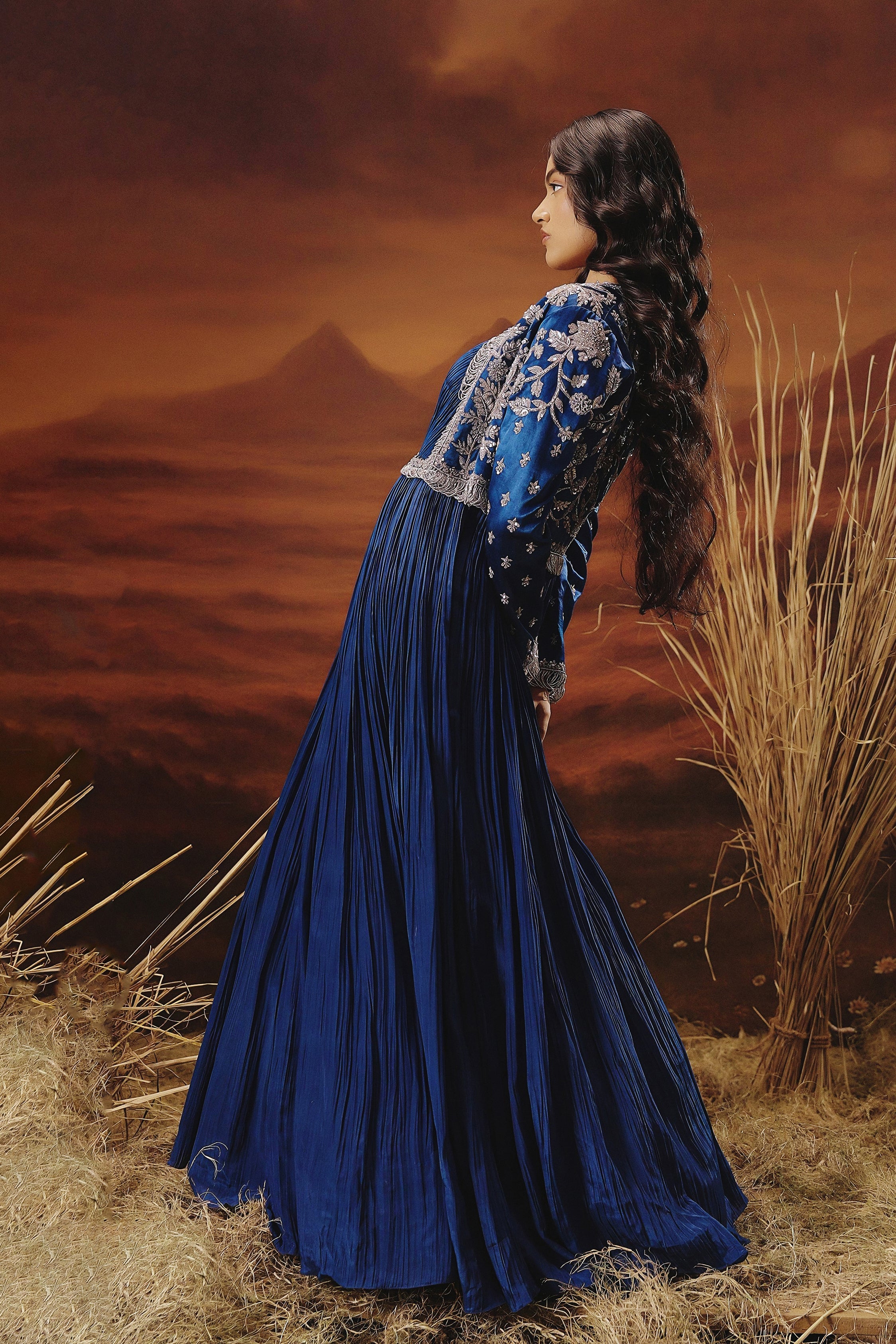 Royal Blue Embellished Premium Jacket Gown Set - Image 6