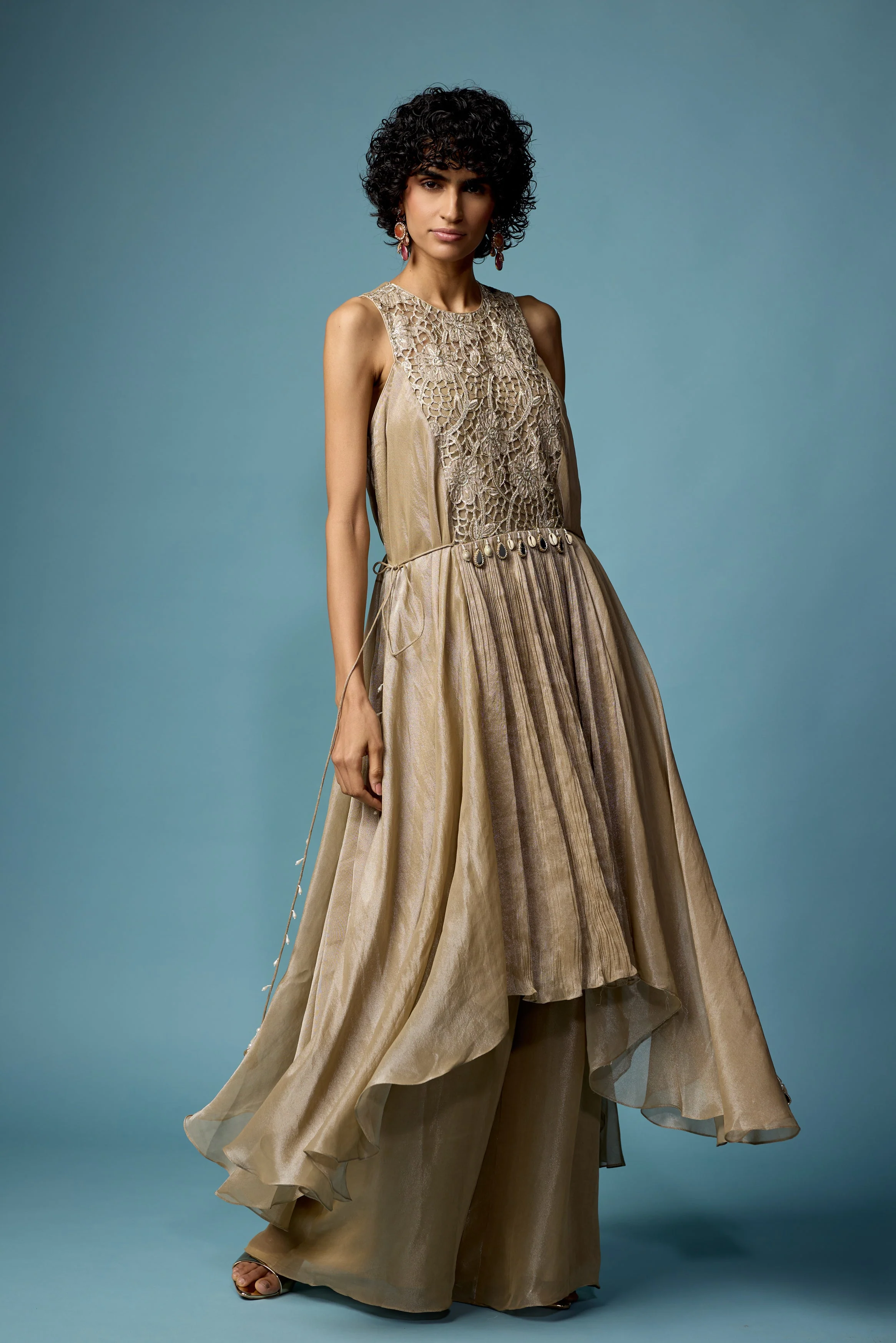 Champagne Beige Embellished Organza Silk Sharara Set - Image 4