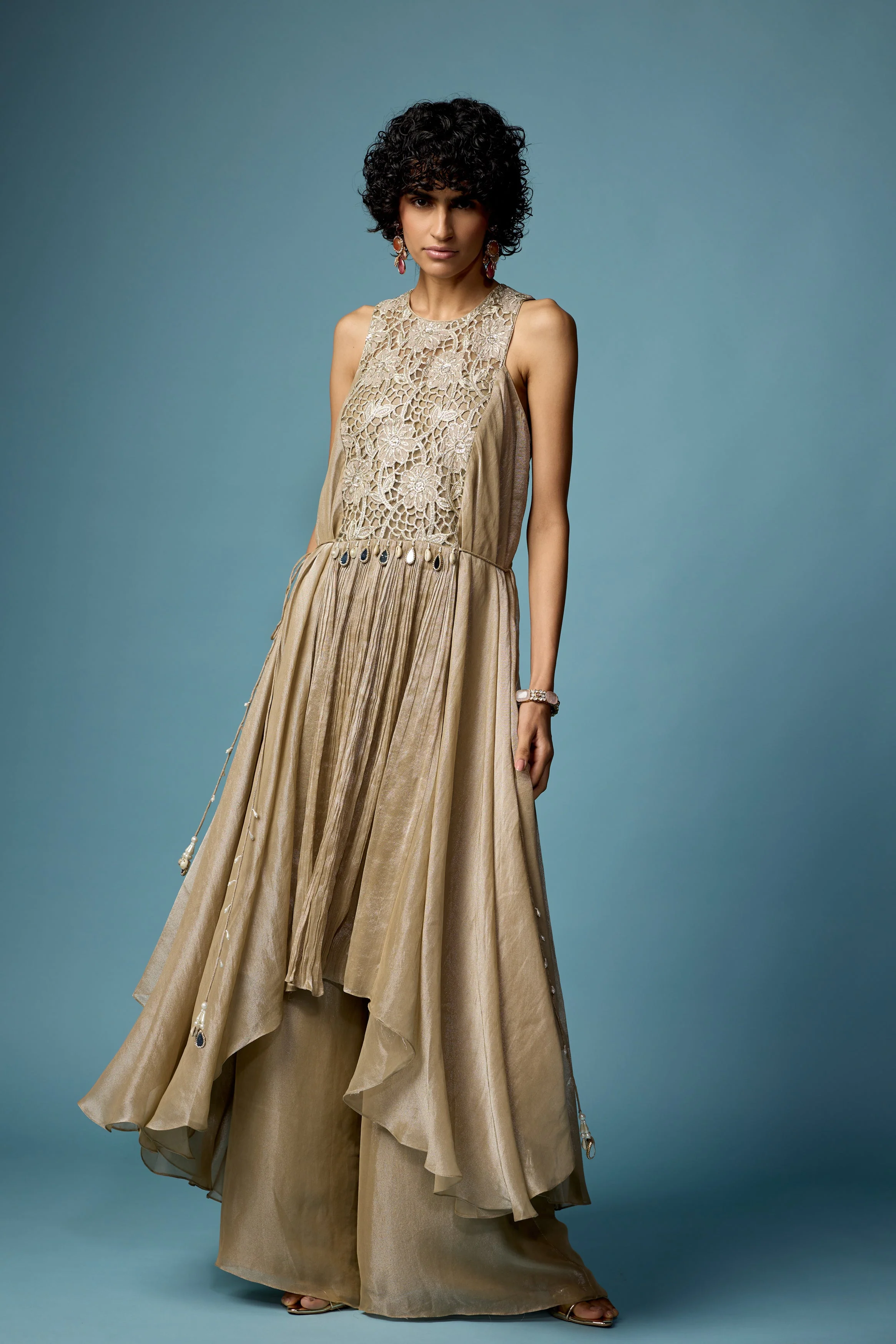 Champagne Beige Embellished Organza Silk Sharara Set - Image 5