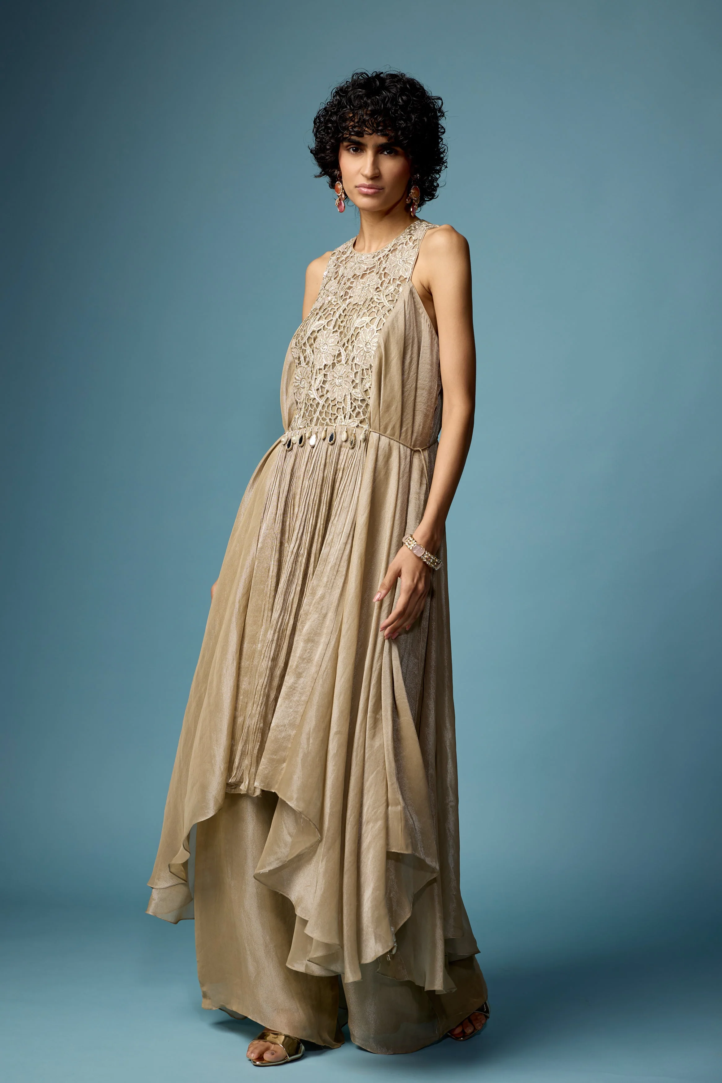 Champagne Beige Embellished Organza Silk Sharara Set - Image 6