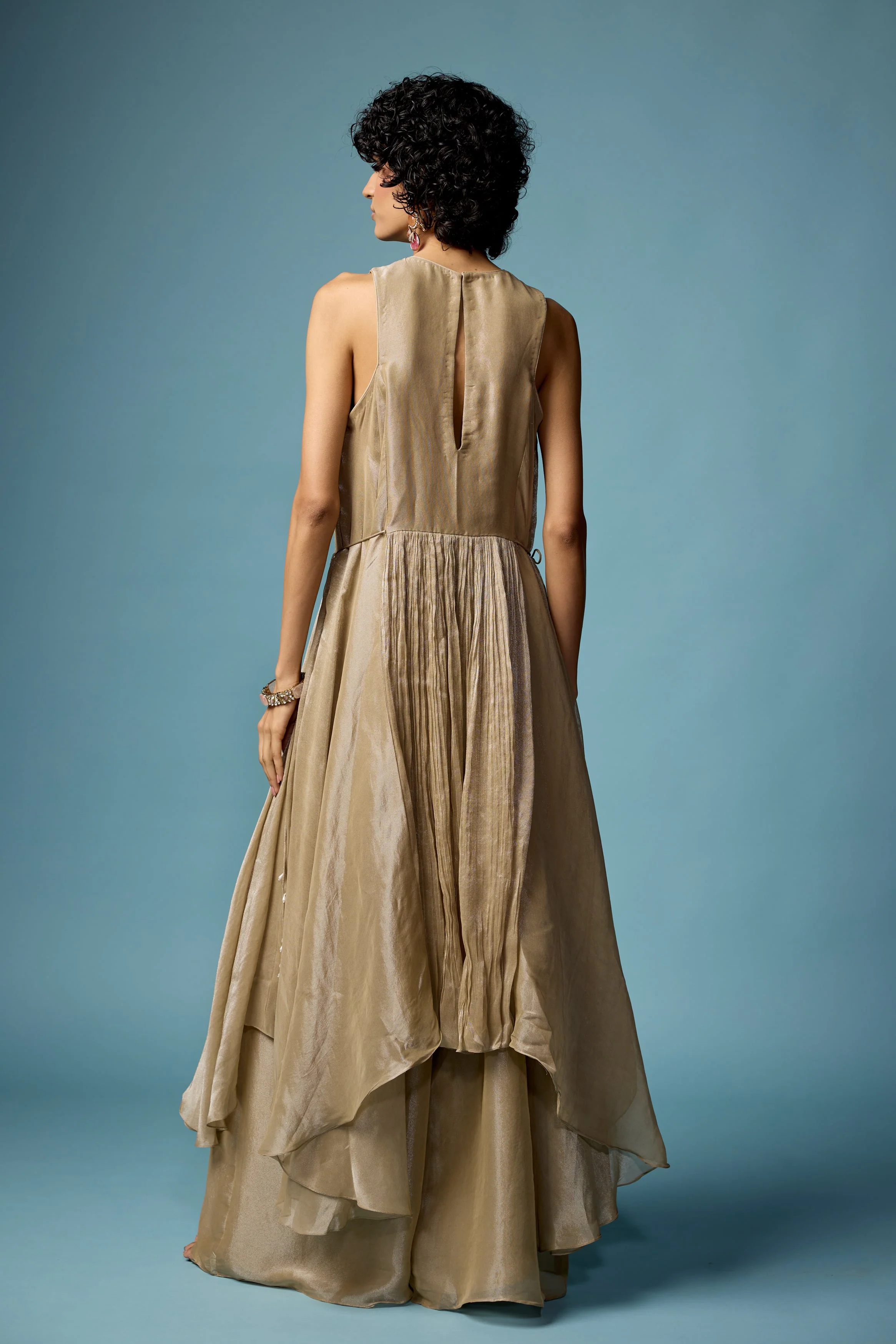 Champagne Beige Embellished Organza Silk Sharara Set - Image 7