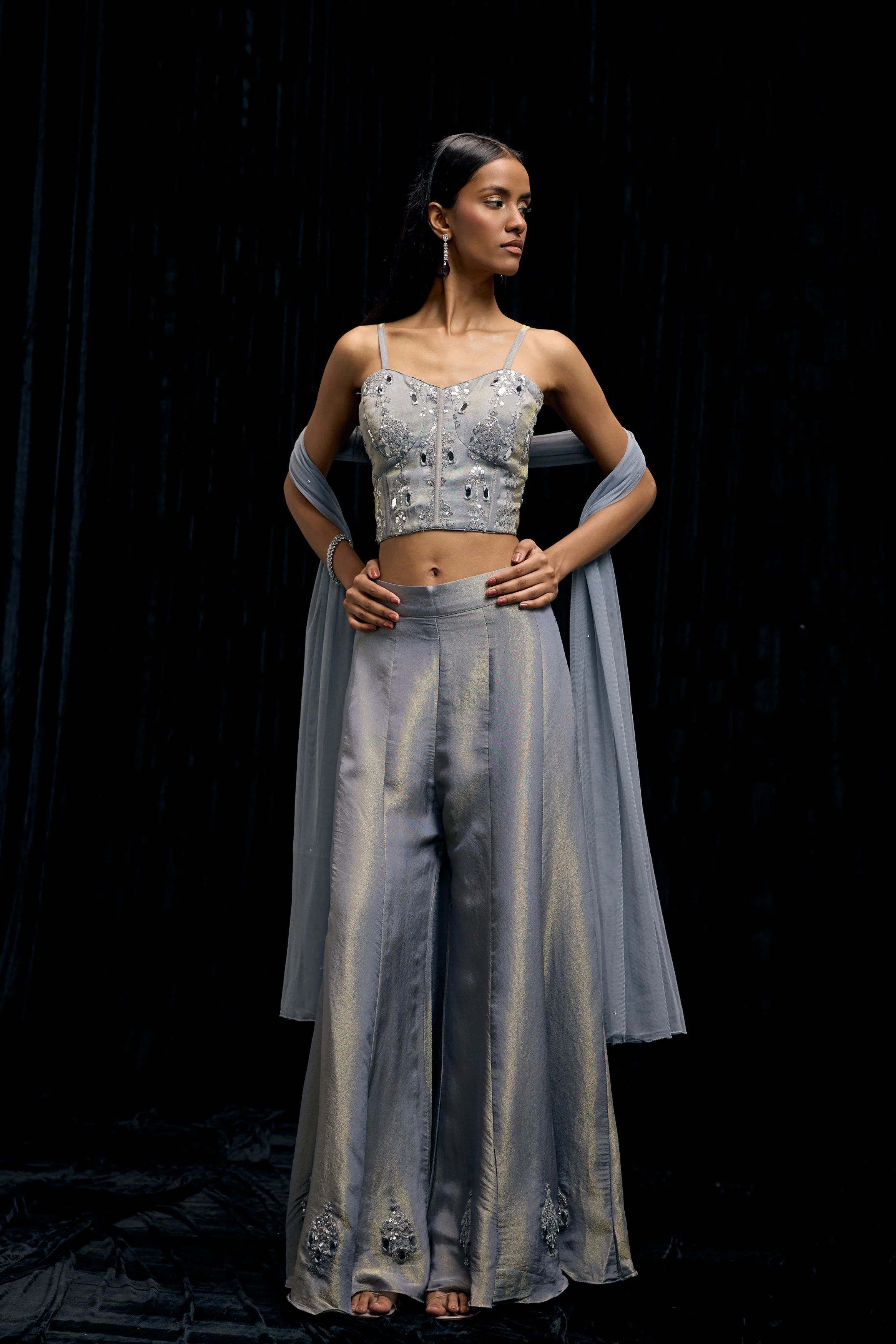 Icy Gray Embellished Shimmer Tissue Silk Palazzo Set - Image 6