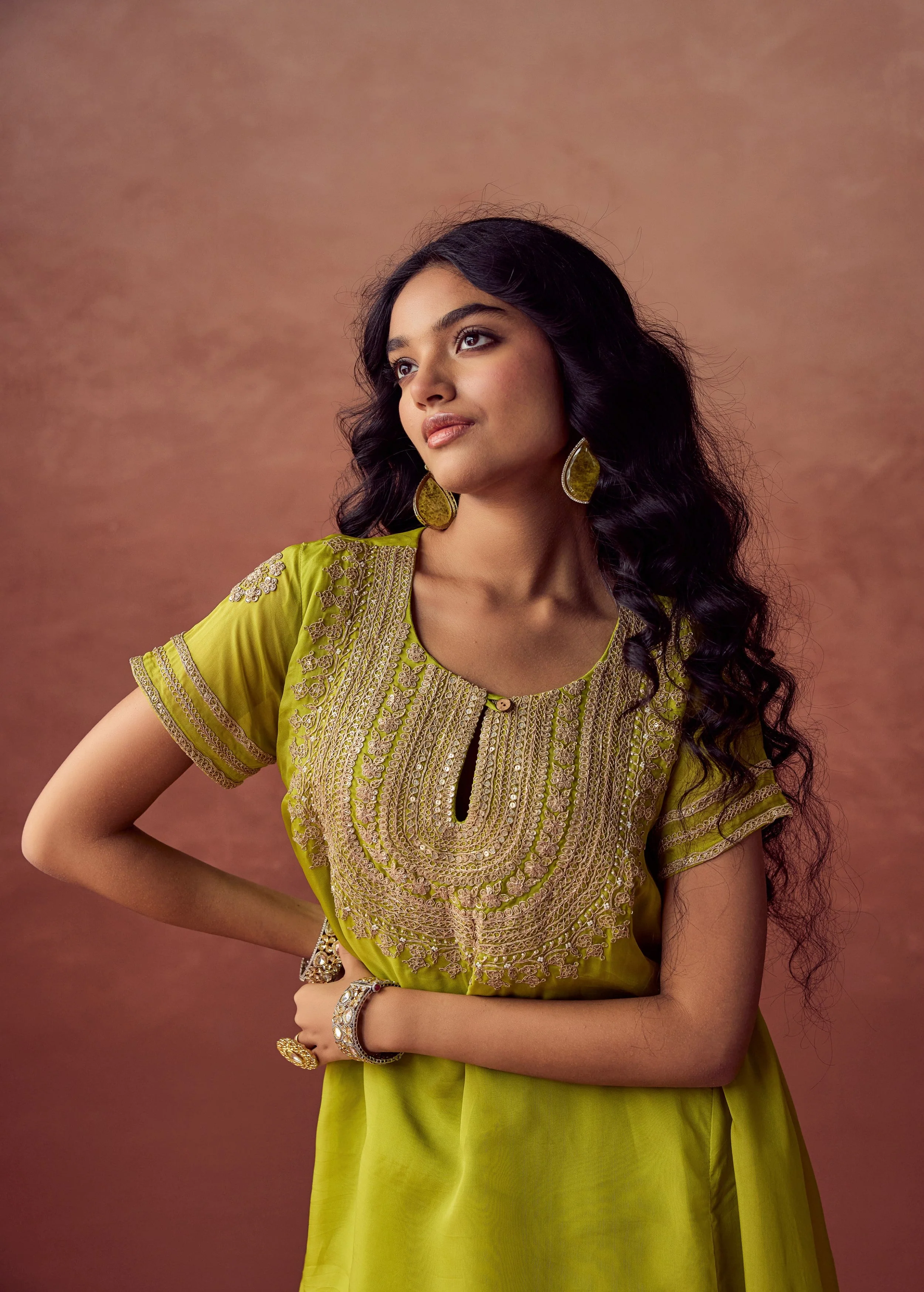 Lime Green Embroidered Organza Silk Skirt Set - Image 3