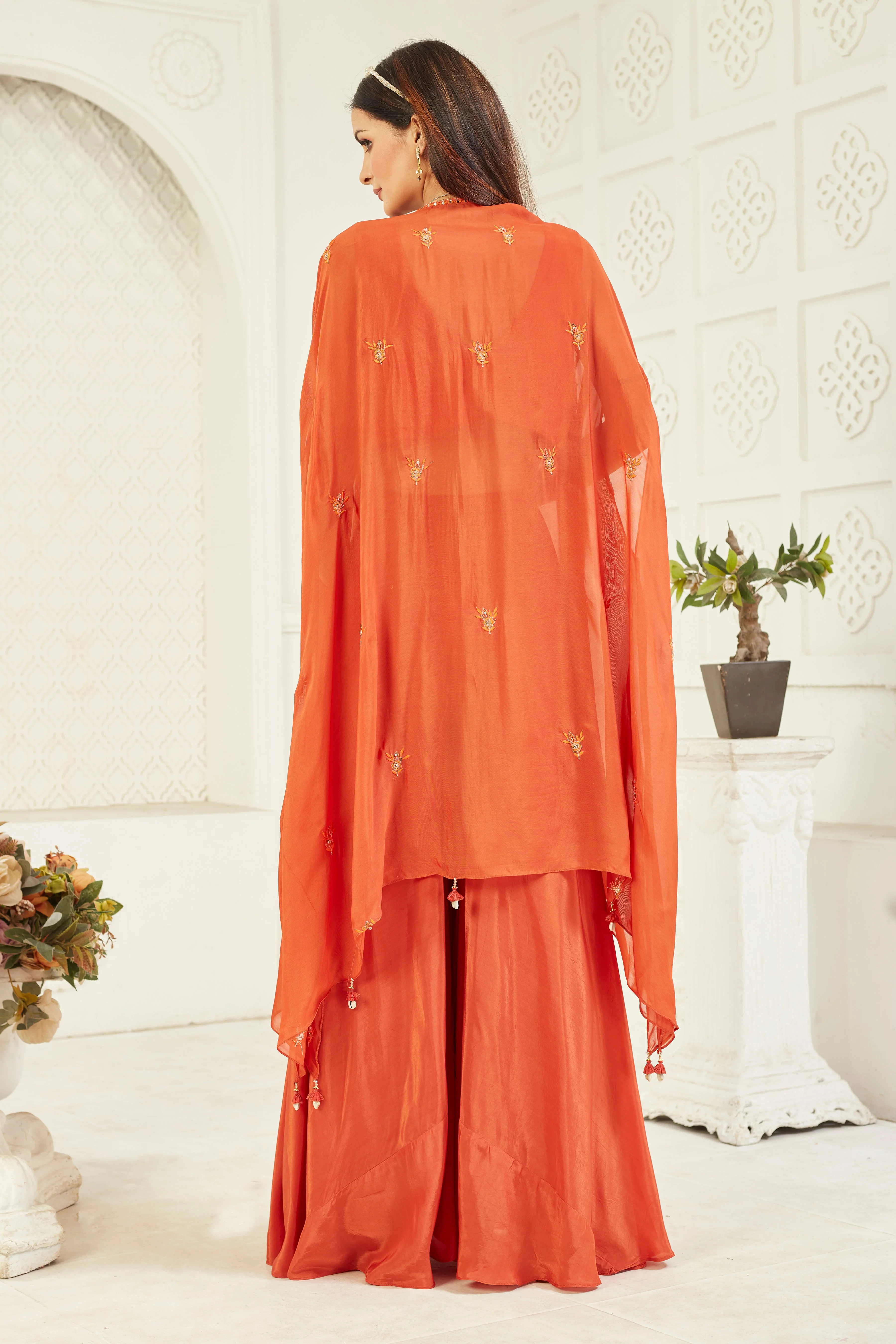 Rustic Red Embellished Georgette Silk Cape Set - Image 5